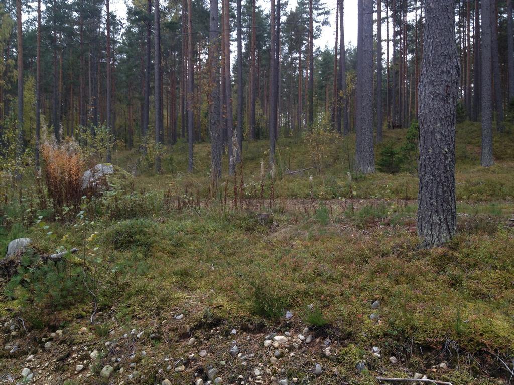 Kultainen Kaava Cottages Padasjoki Екстер'єр фото