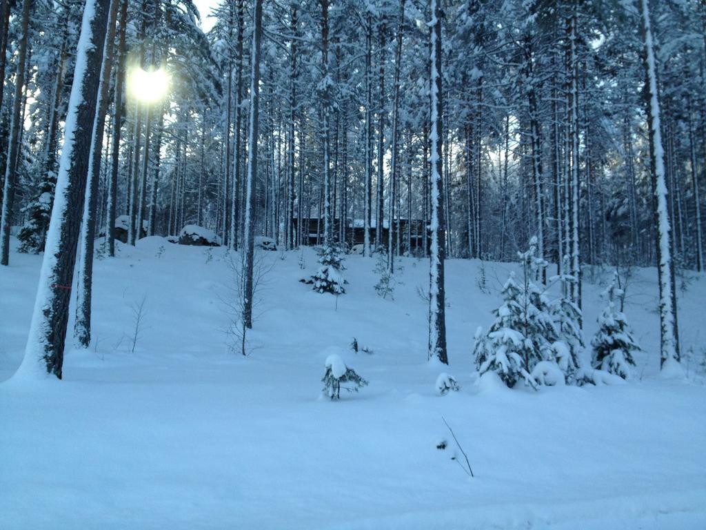 Kultainen Kaava Cottages Padasjoki Екстер'єр фото
